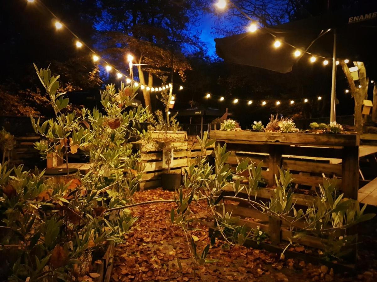 Bosbaar Bed & Breakfast Kluisbergen ภายนอก รูปภาพ